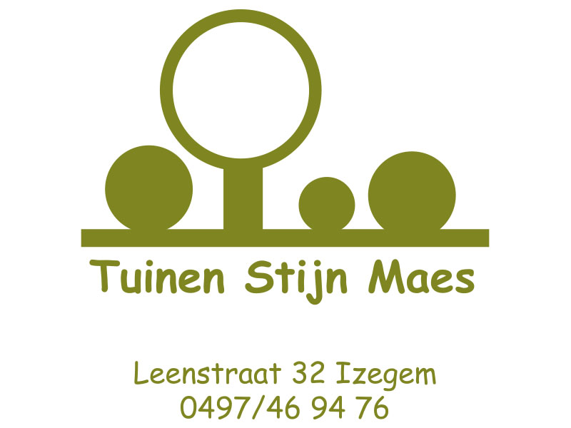 Stijn Maes